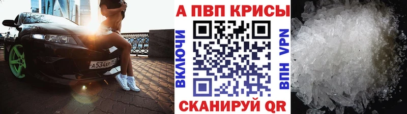 дарнет шоп  Строитель  Alpha PVP крисы CK 