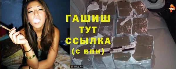 индика Армянск