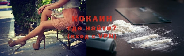 индика Армянск