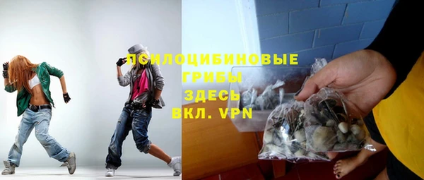 гашик Арсеньев
