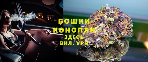 гашик Арсеньев