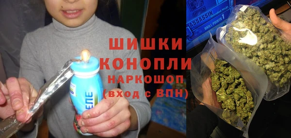 гашик Арсеньев