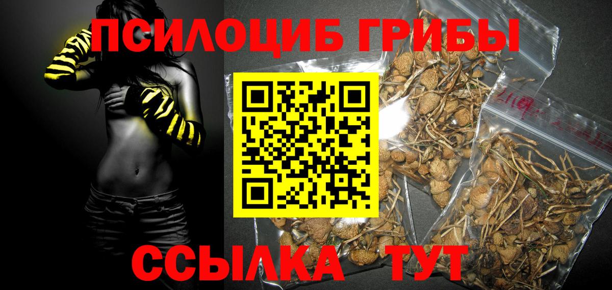 Строитель  Галлюциногенные грибы ЛСД  Псилоцибиновые грибы мухоморы  Вход с VPN 