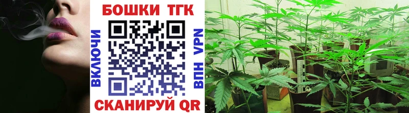 наркота Строитель Канабис марихуана